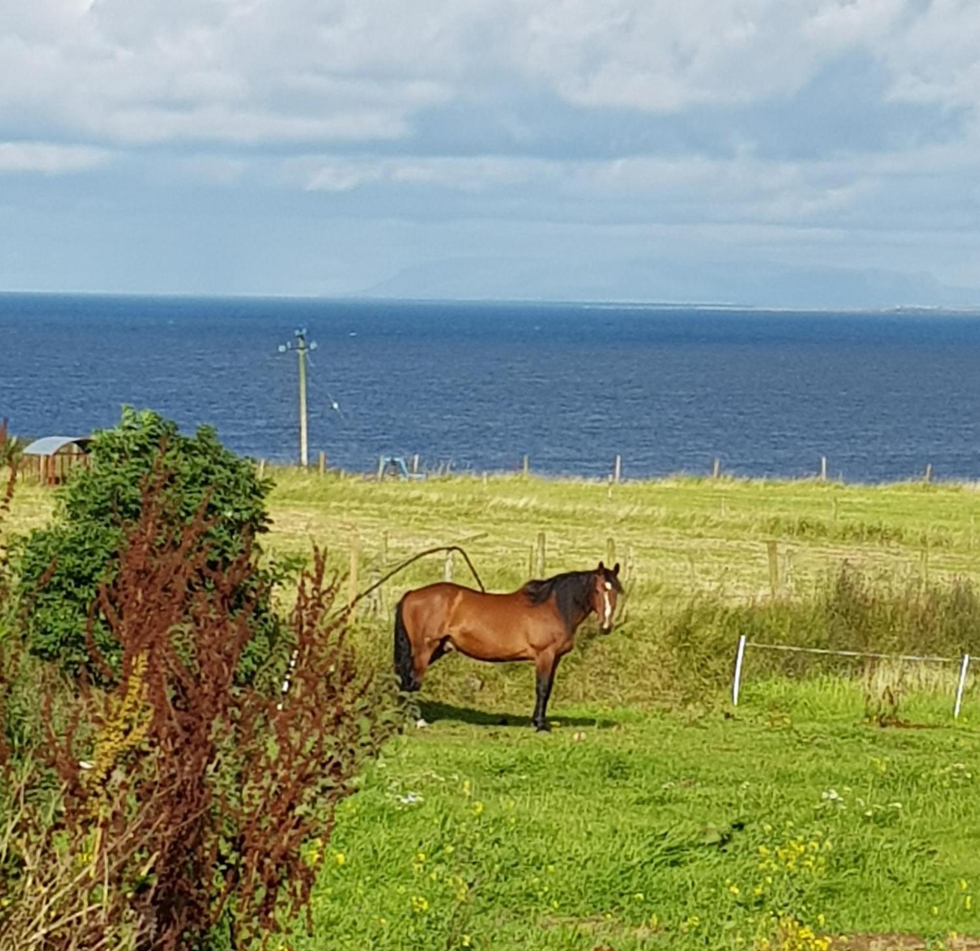 Sunrise View Bed & Breakfast Castlemagee Екстериор снимка